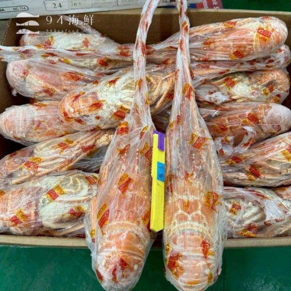 熟凍古巴龍蝦-400-460克/p 波士頓龍蝦