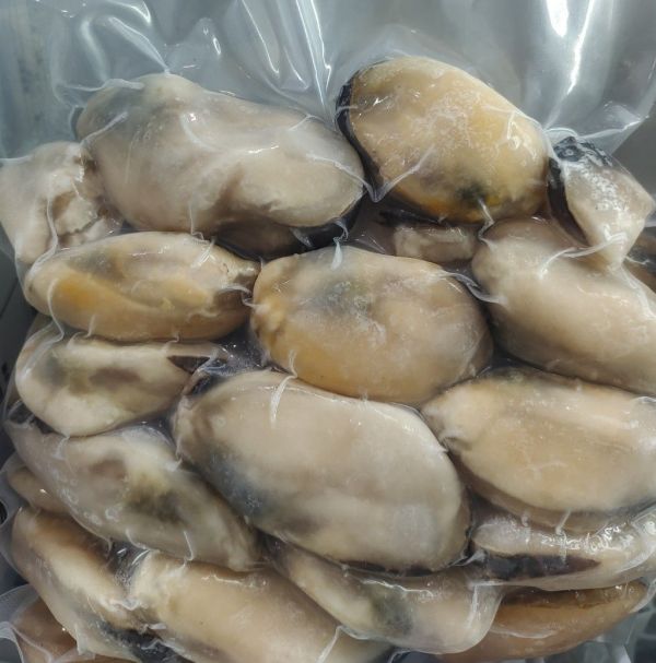 熟淡菜肉-500克/包 