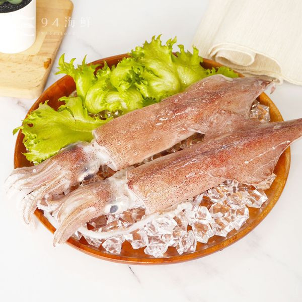 東北角船凍透抽(21cm上/隻) 