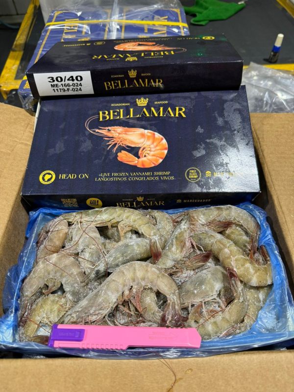 超大活凍生白蝦(750克/盒)貝拉皇冠牌 