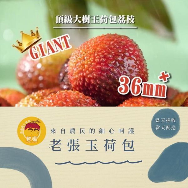 大樹霸王級玉荷包((36MM+)) 5斤禮盒裝 限量搶購 免冷藏運費!! 