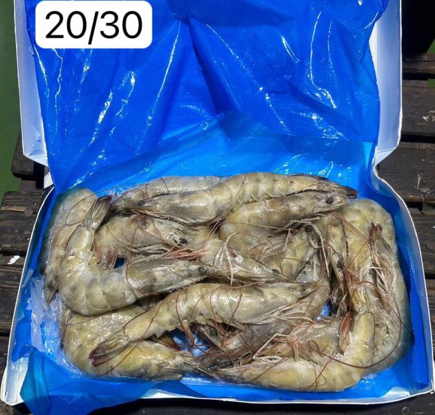 超大活凍生白蝦20/30(750克/盒)月圓牌 