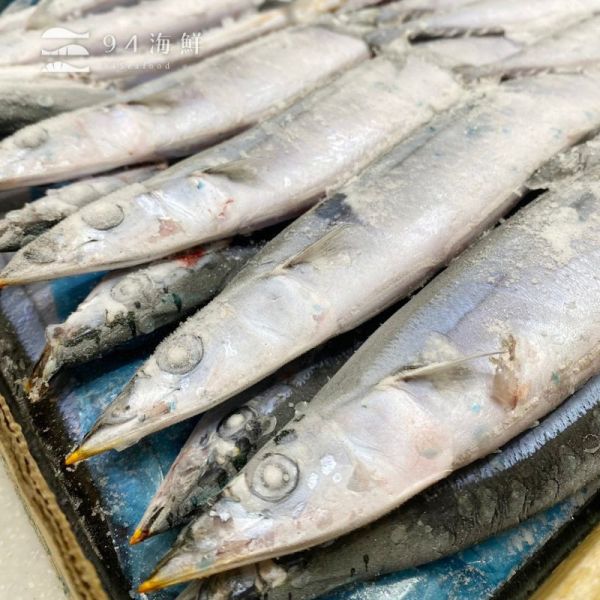 野生特號秋刀魚(整箱) 