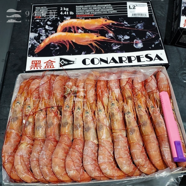 特大阿根廷天使紅蝦L2(2K/盒) 