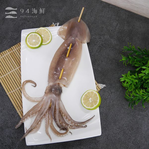 阿根廷大魷魚串-2XL (270克/串) 