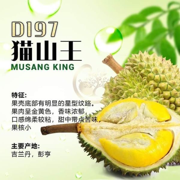 馬來西亞-貓山王榴槤125g/盒 