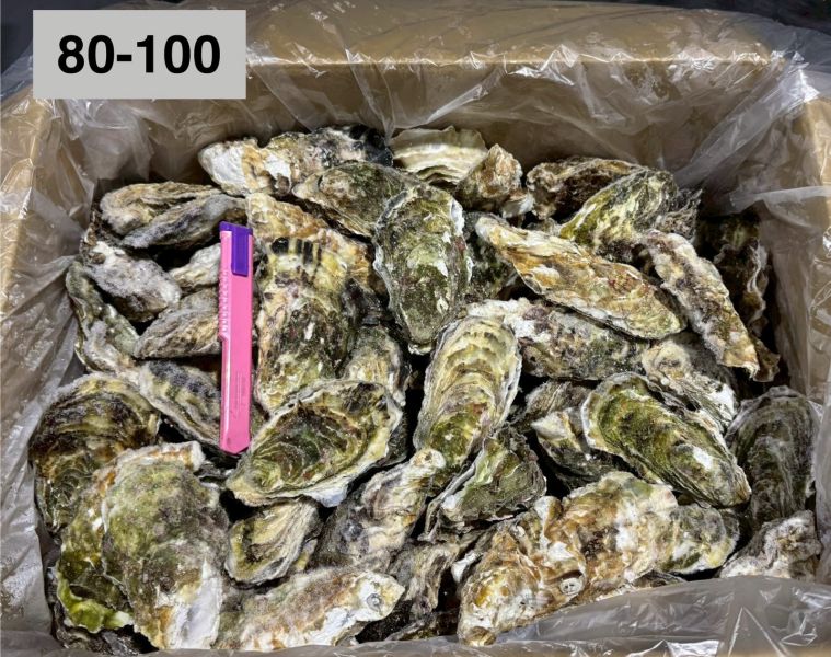日本全殼生蠔整箱(10KG/箱)宮城 