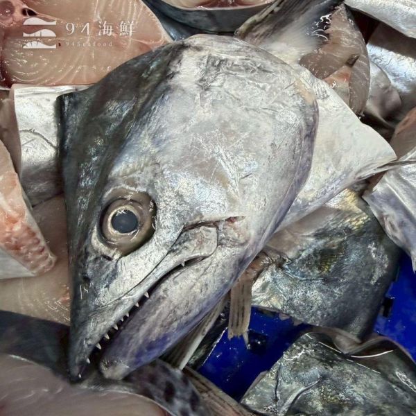 澎湖野生白北魚 