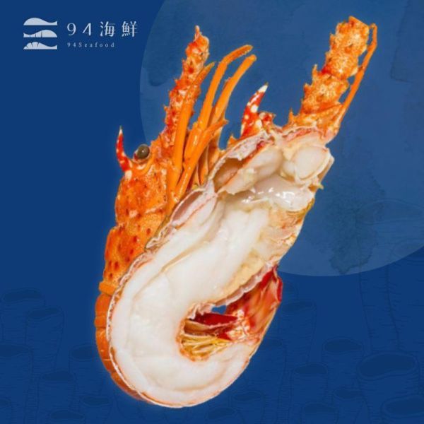 熟凍古巴龍蝦-400-460克/p 波士頓龍蝦