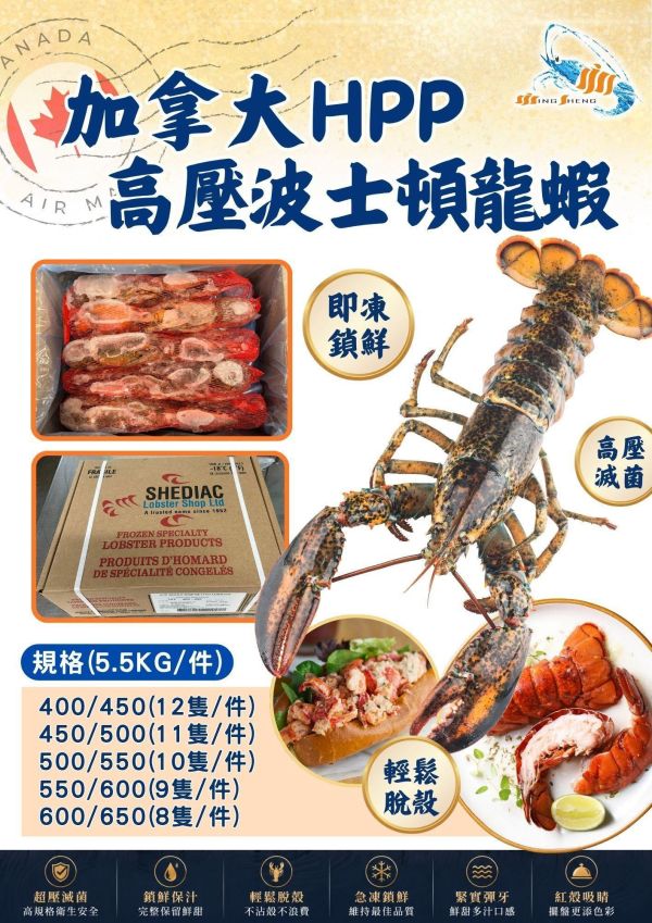 高壓活凍-波士頓龍蝦 5.5公斤/箱 波士頓龍蝦
