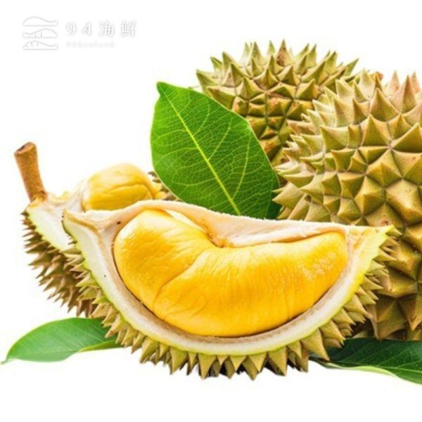 泰國皇家金枕頭榴槤｜3A最高等級-300克 ±5%／盒 