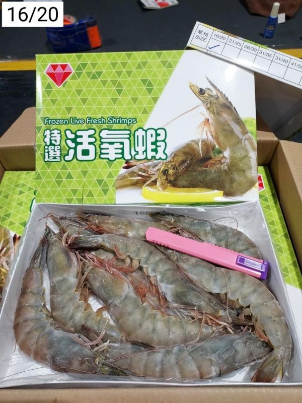 特大活氧生白蝦(600克/盒) 