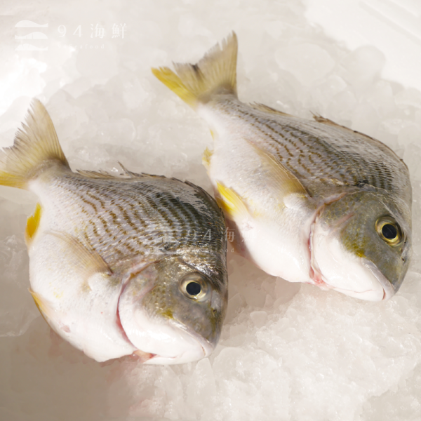 現流急凍班頭魚 