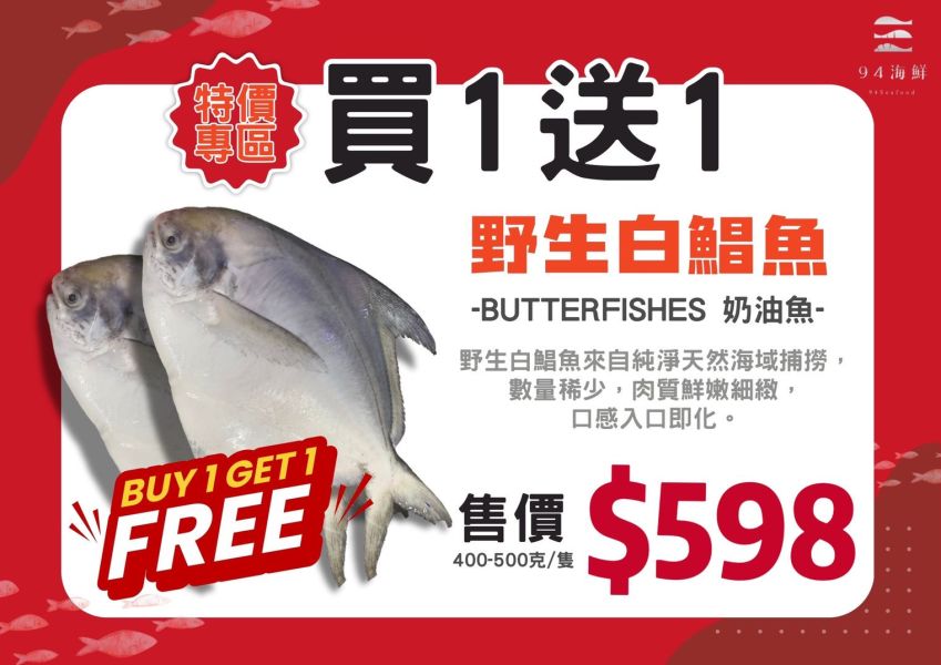野生白鯧魚 白鯧