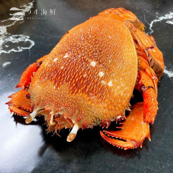 野生活凍旭蟹 (大) 300-400克/隻 
