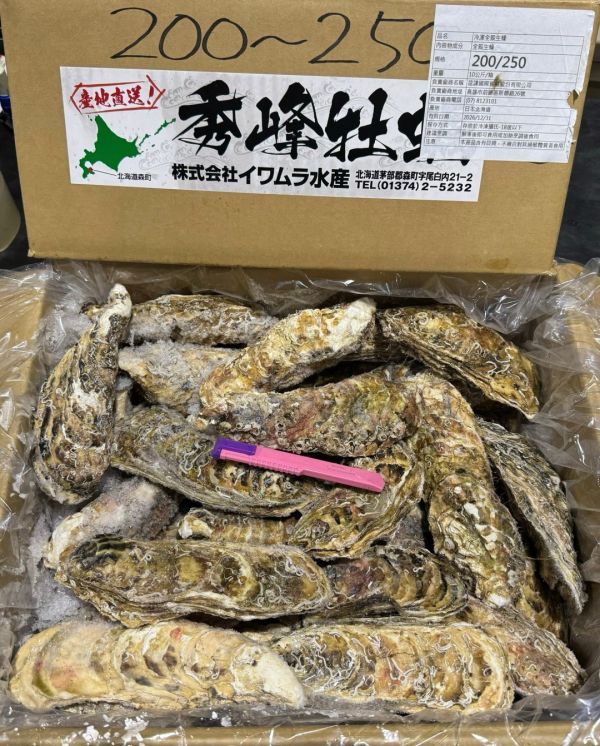 北海道生食級全殼生蠔(10KG/箱) 