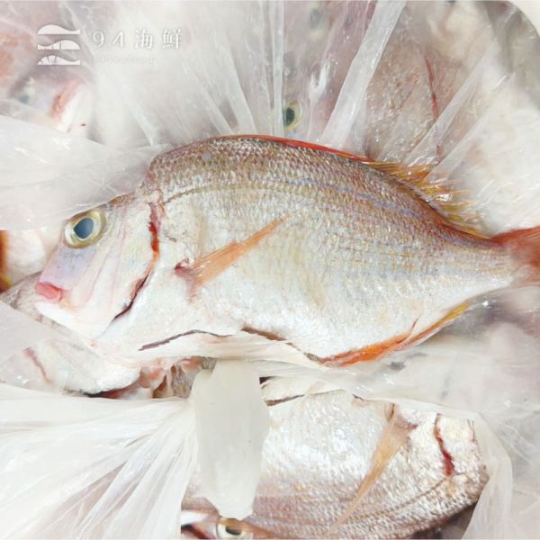 現流紅盤仔魚-2p/包 