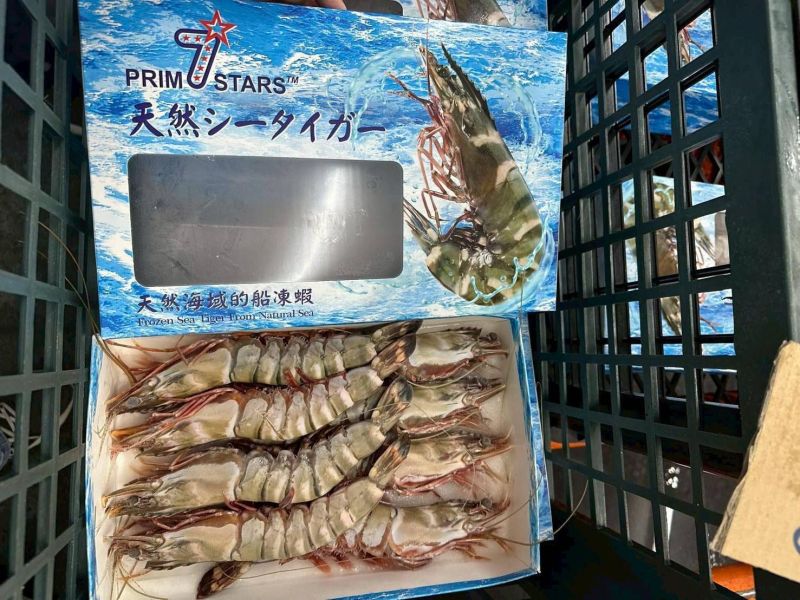 巨無霸 七星牌 海虎蝦 