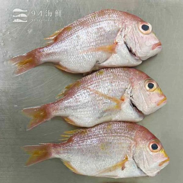 現流急凍赤鯮 