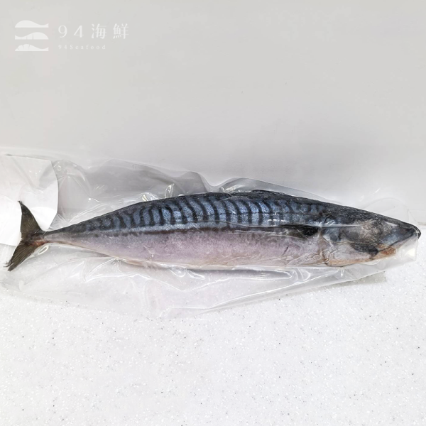 特選挪威全隻鯖魚-600克上 鯖魚