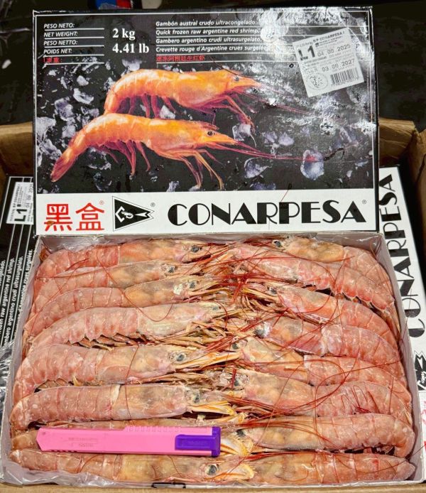巨無霸阿根廷天使紅蝦L1(2K/盒) 