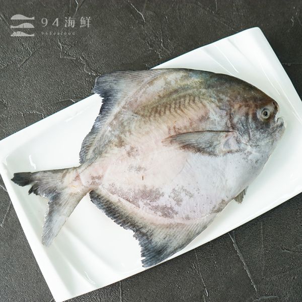 斗鯧魚 (600克上/隻) 