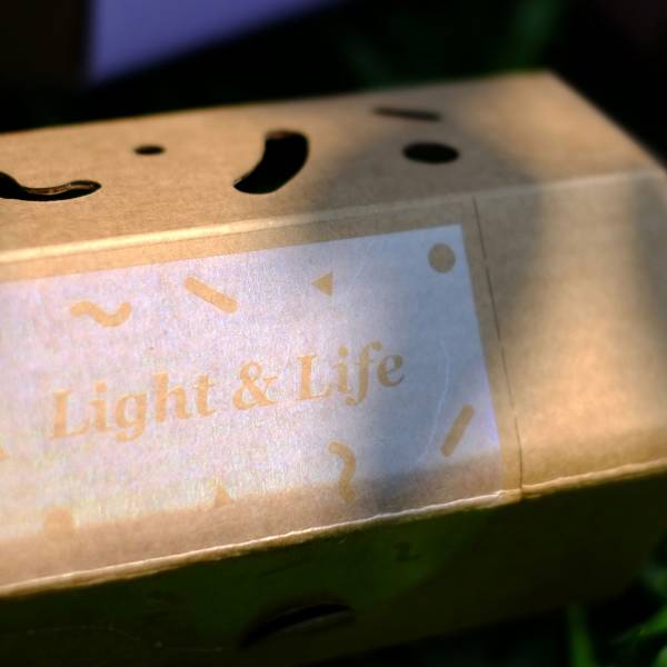 Light & life 光盒植栽 LED 小夜燈 小夜燈 家居 禮品