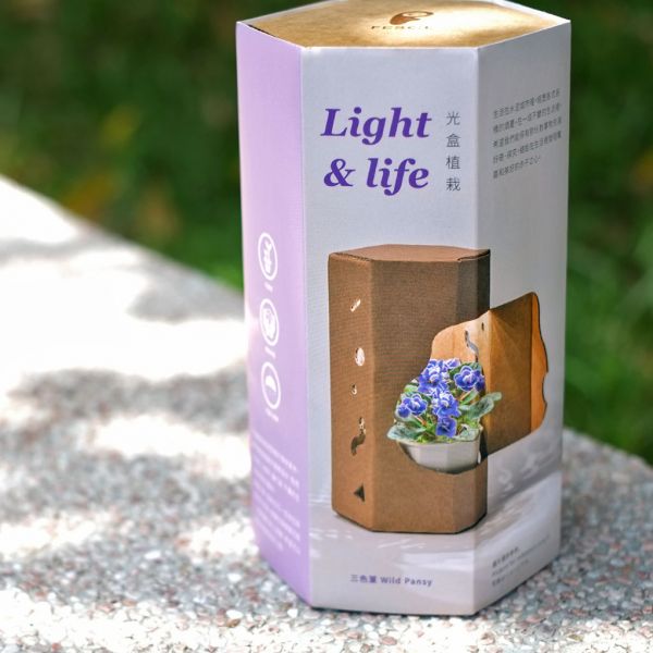 Light & life 光盒植栽 LED 小夜燈 小夜燈 家居 禮品