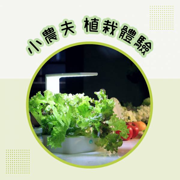 Green Box Dual- Purpose LED Plant Growth Box 小農夫,植物培育機,迷你植物燈,植物生長燈,Fresco,水土耕兩用,親子教育