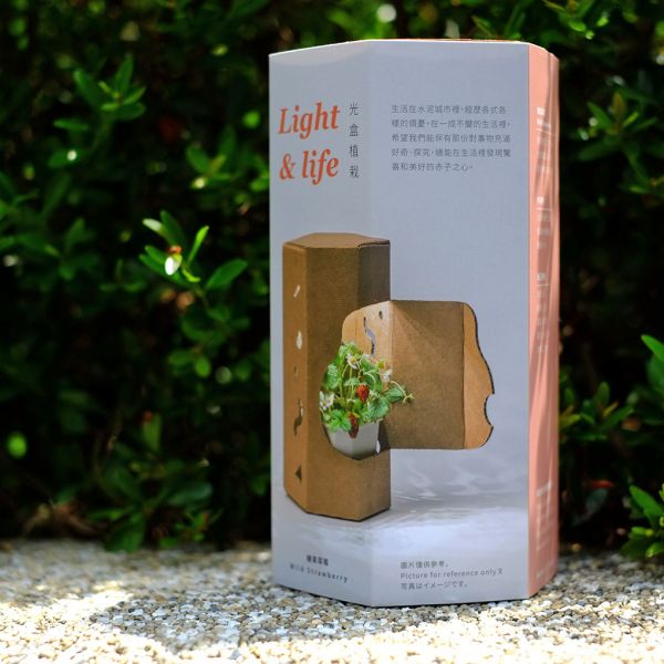 Light & life 光盒植栽 LED 小夜燈 小夜燈 家居 禮品