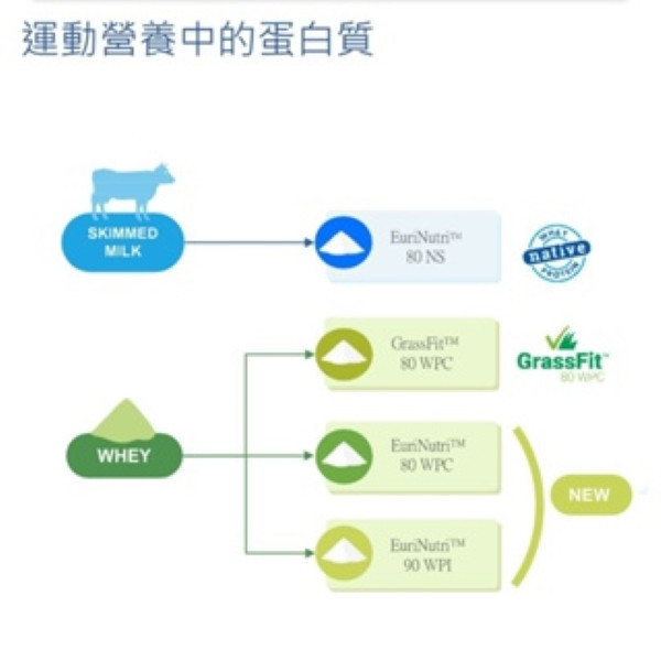 i&n法國即溶濃縮乳清蛋白 i&n法國即溶濃縮乳清蛋白