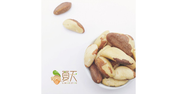 低溫素燒-巴西豆 巴西堅果 