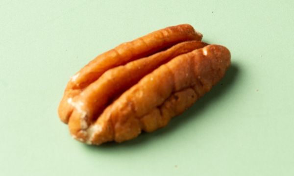 低溫素燒-原味胡桃 低溫素燒-原味胡桃