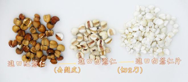 白薏仁-紅薏仁-薏仁片 夏天小舖-白薏仁-紅薏仁-薏仁片