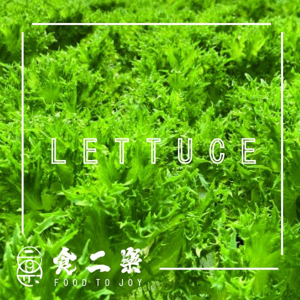 無毒水耕生菜 2 公斤 生菜 水耕生菜 魚菜共生 減脂餐 低碳飲食 純素生活 vegan