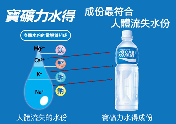 寶礦力水得 580MLx24入 