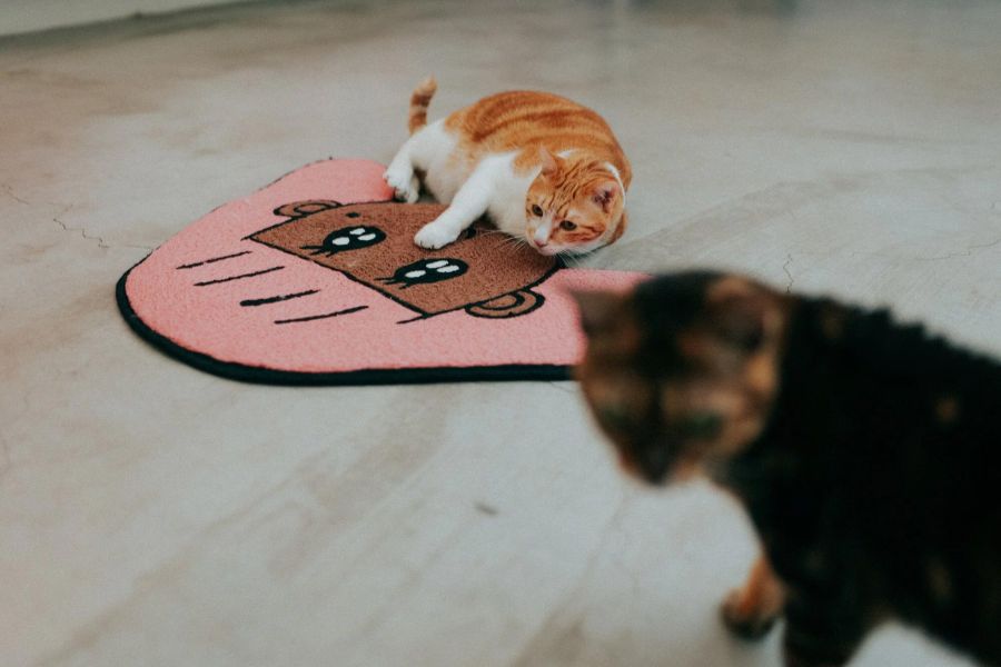 POKO ポコ大王 HOT POKO FLOOR MAT 地毯 / (粉紅) POKO ポコ大王 HOT POKO FLOOR MAT 地毯 / (粉紅)