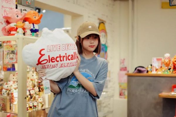 美國企業周邊 PEANUTS / FEPC / KILOWATT POWER 抱枕 / 靠枕 