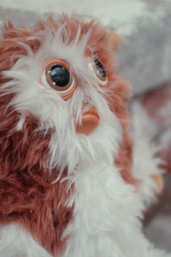 GREMLiNS 小魔怪 GIZMO 絨毛玩偶 / 1984年絕版老物 GREMLiNS 小魔怪 GIZMO 絨毛玩偶