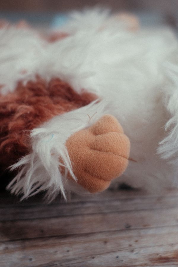GREMLiNS 小魔怪 GIZMO 絨毛玩偶 / 1984年絕版老物 GREMLiNS 小魔怪 GIZMO 絨毛玩偶