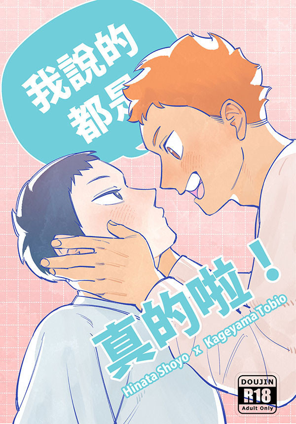 【PRE-SALE】《我說的都是真的啦！》　／Haikyu!!　Hinakage　Comic　BY：飛走 