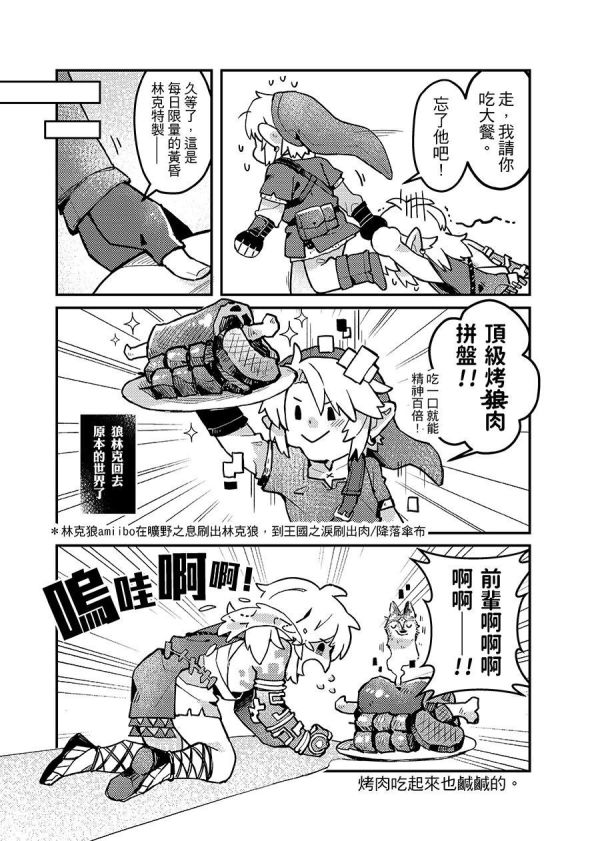 《勇者之書-王國之淚大冒險》　／The Legend of Zelda　Comic　BY：豆子（洛神豆花） 