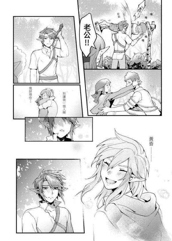 《我的長官(不可能)有男朋友！》　／The Legend of Zelda　Link（Twilight）/（Wild）　Comic　BY：U納 