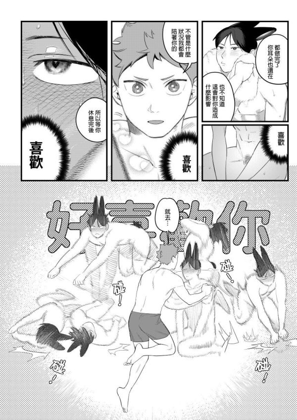 【PRE-SALE】《影山飛雄變成兔子了？！》　／Haikyu!!　Hinakage　Comic　BY：飛走 