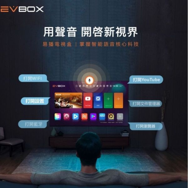 易播越獄版 機皇 易播盒子 第十代 10 MAX EVBOX 公司貨 Wi-Fi 6 