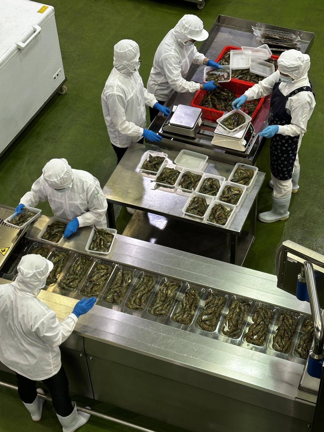 溪和水產_貼體包裝
