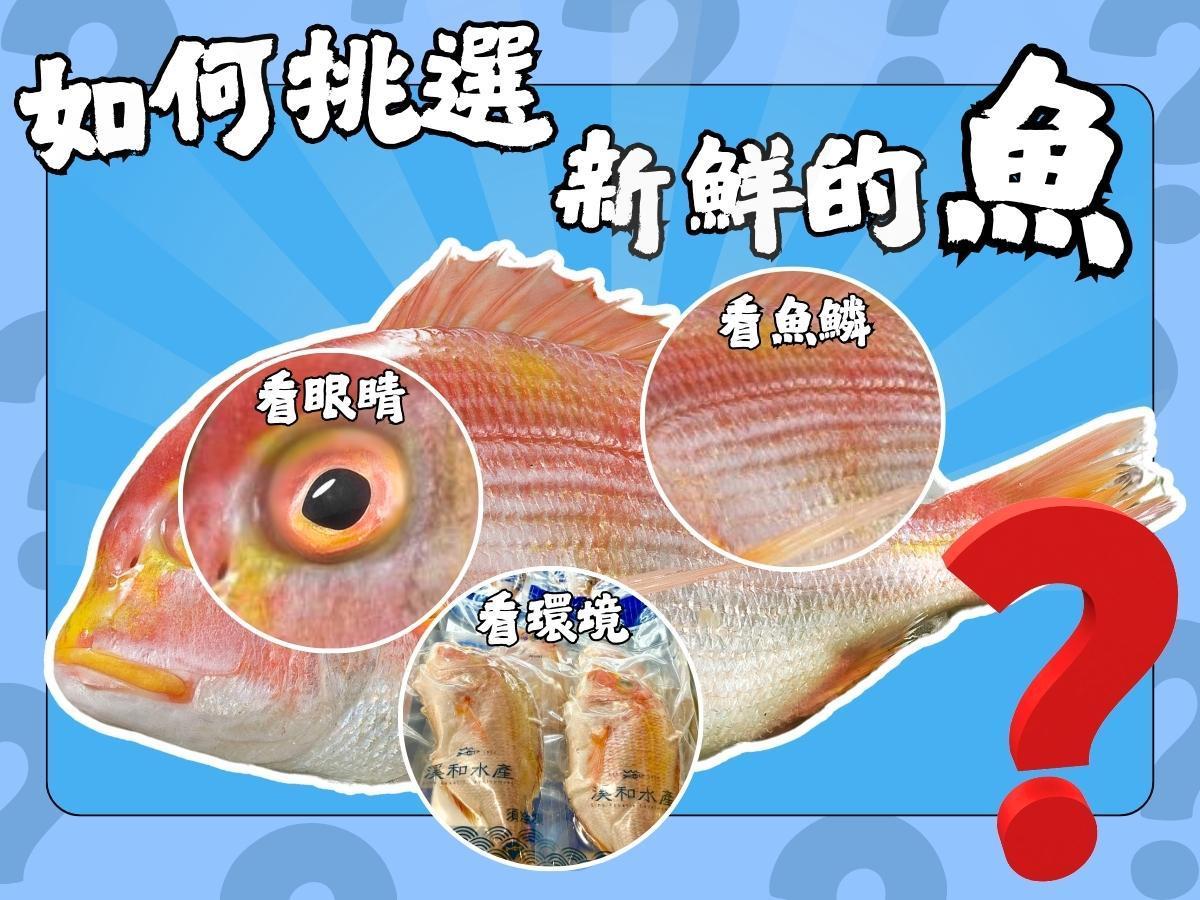 溪和水產_赤鯮