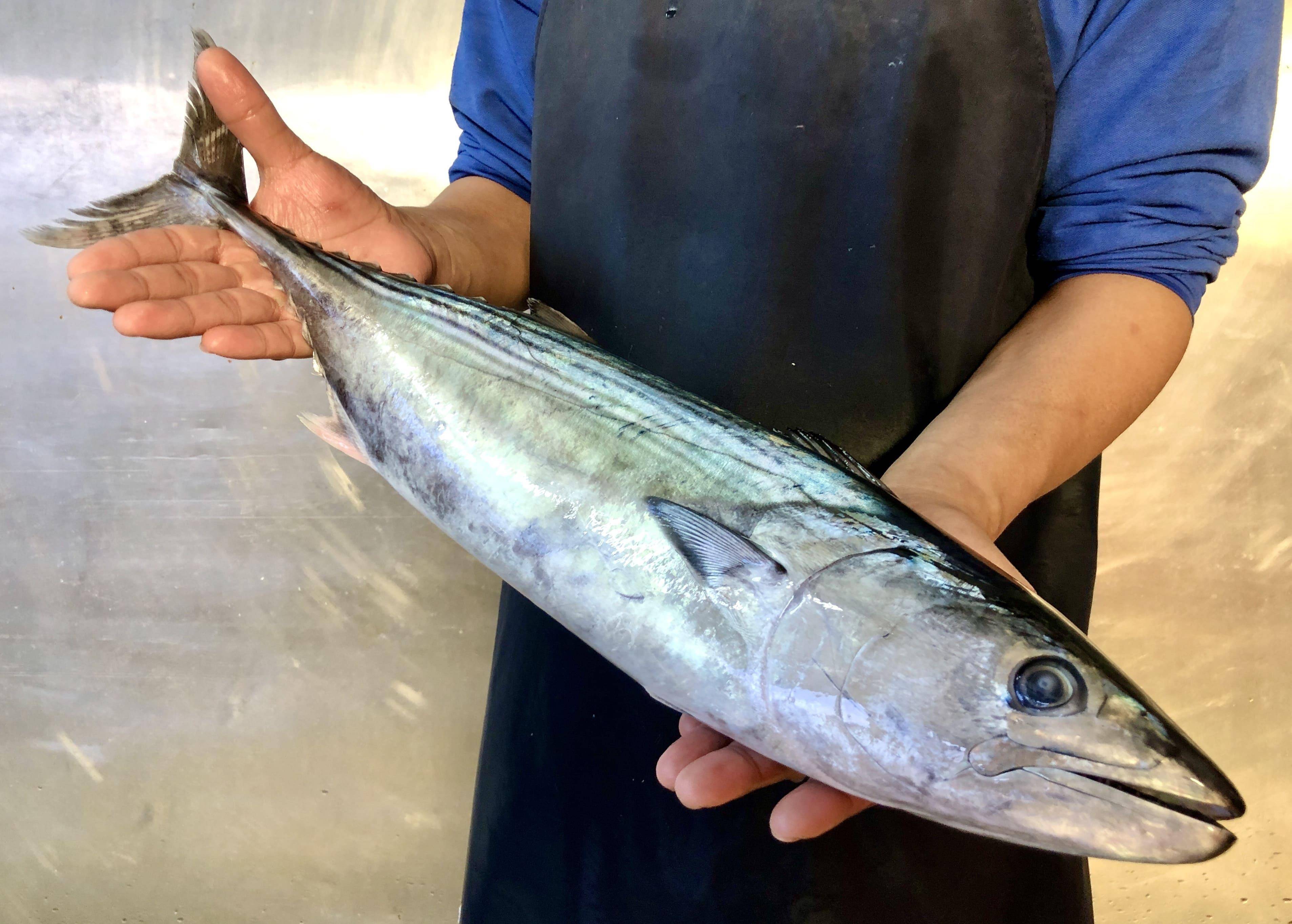 溪和水產_煙仔虎