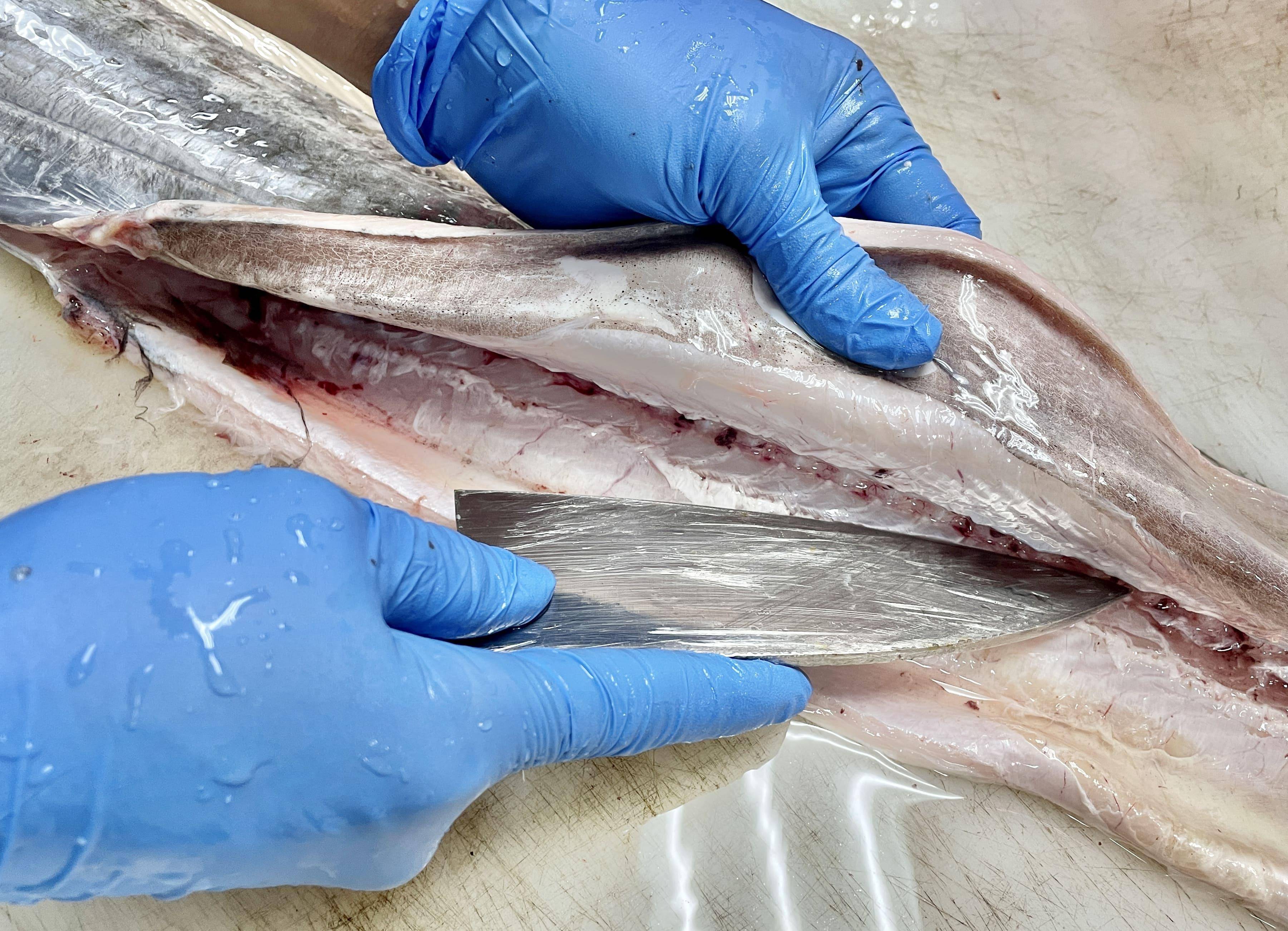 溪和水產_白帶魚