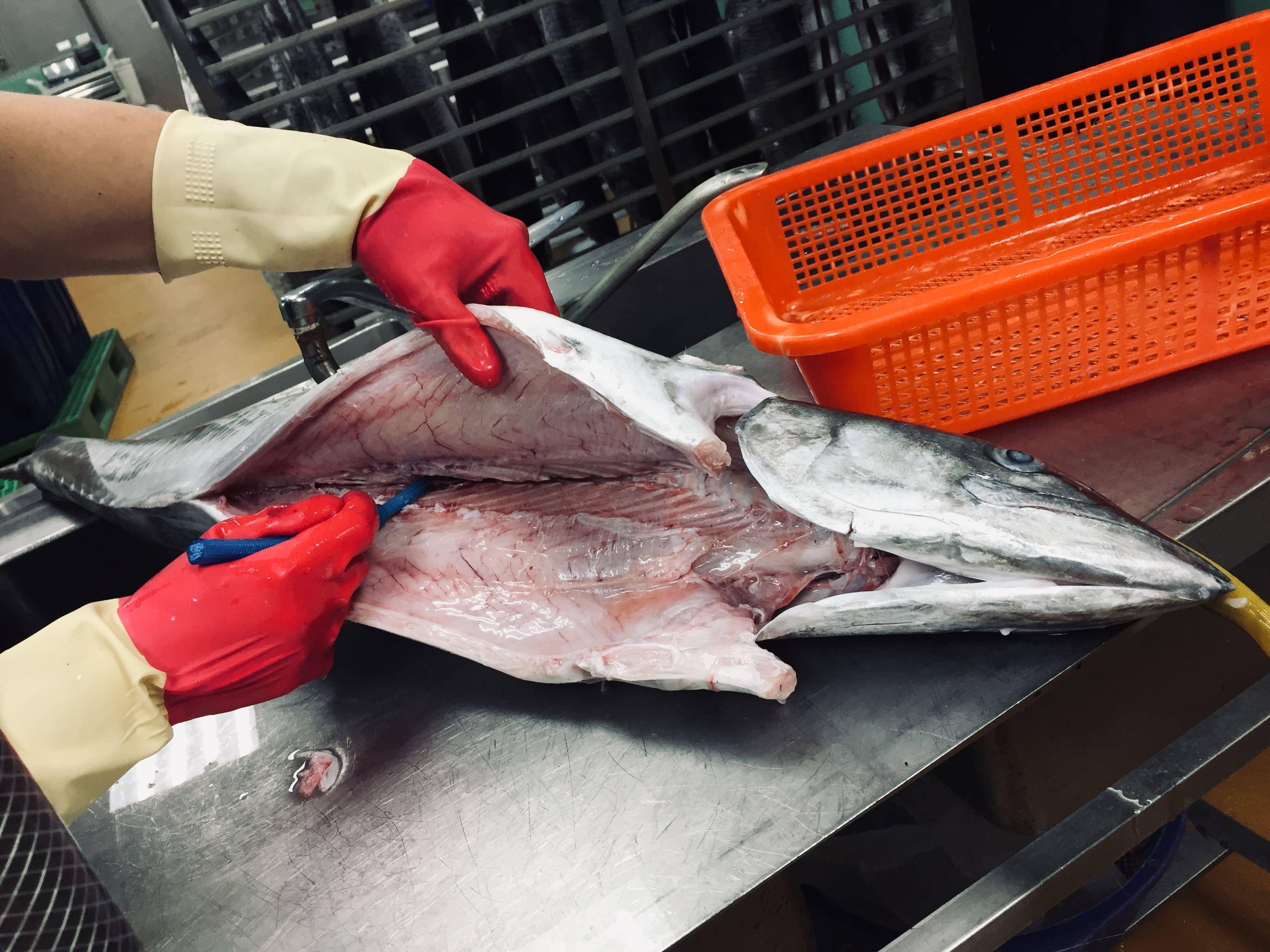 溪和水產_土魠加工